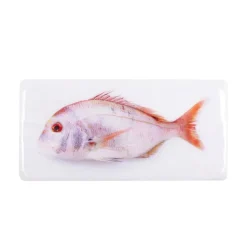 Décoration Murale Daurade Rose - 40 X 20 Cm-Stigerwoods New