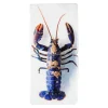 Décoration Murale Homard Bleu / Fond Blanc - 20 X 40 Cm-Stigerwoods Clearance