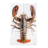 Décoration Murale Homard Sur Glace / Fond Blanc - 40 X 60 Cm-Stigerwoods Sale