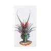 Décoration Murale Homard Vert / Fond Blanc - 20 X 35 Cm-Stigerwoods Discount
