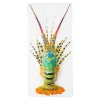 Décoration Murale Jual Homard Laut - 20 X 40 Cm-Stigerwoods Best