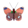 Décoration Murale Papillon Delias En Carton Recycle-Studio Roof