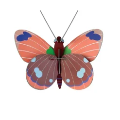 Décoration Murale Papillon Delias En Carton Recycle-Studio Roof