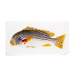 Décoration Murale Poisson Gaterin Sur Fond Blanc - 35 Cm X 20 Cm-Stigerwoods Outlet