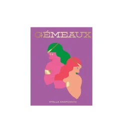 Livre Astrologie Signe Gemeaux-Hachette