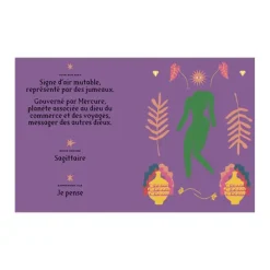 Livre Astrologie Signe Gemeaux-Hachette