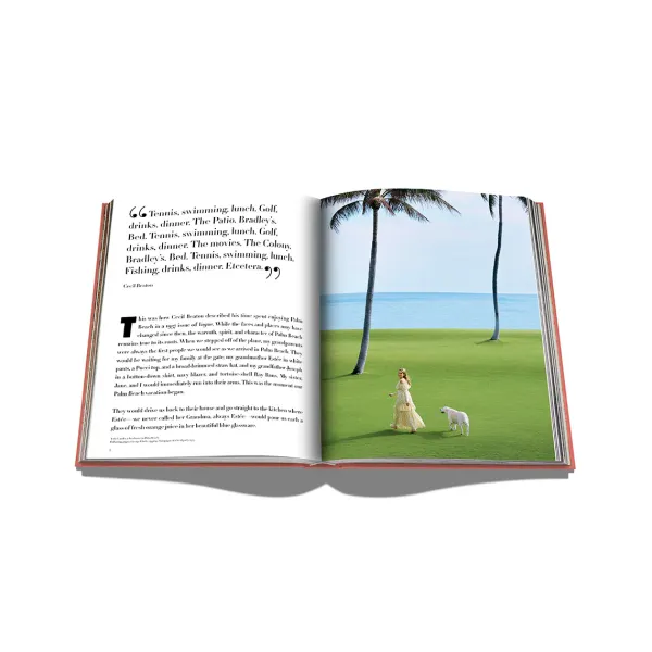 Livre Palm Beach-Assouline Discount