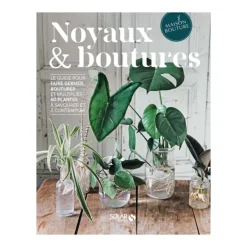 Livre Sur Les Noyaux Et Boutures-Sélectionné par Fleux Outlet