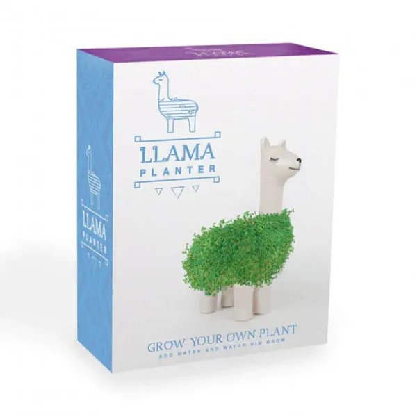 Pot / Jardiniere Chia Lama-Sélectionné par Fleux
