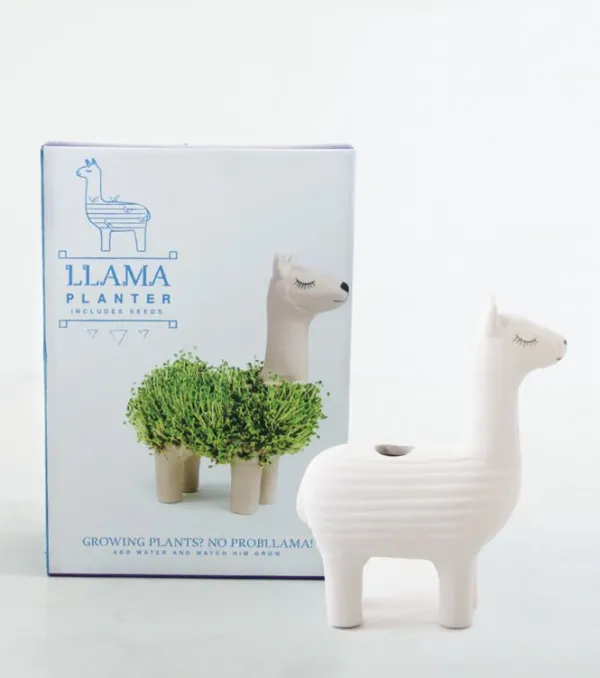 Pot / Jardiniere Chia Lama-Sélectionné par Fleux