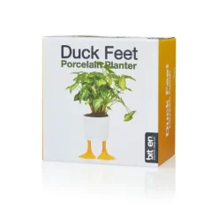 Pot / Jardiniere Pieds Canards - Jaune & Blanc-Sélectionné par Fleux Best