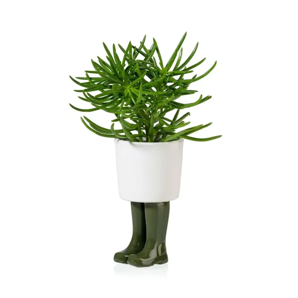Pot / Jardiniere Wellington Petit - Vert-Sélectionné par Fleux Discount