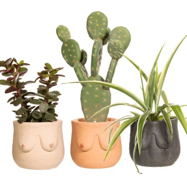 Pot Boob - 8 X O 8 Cm - Couleur Aleatoire-Sélectionné par Fleux