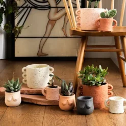 Pot Boob - 8 X O 8 Cm - Couleur Aleatoire-Sélectionné par Fleux