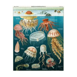 Puzzle Meduses - 1000 Pieces-Sélectionné par Fleux Clearance