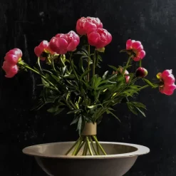 Set De 2 Hanataba - O 65 & O 47 Mm-Sélectionné par Fleux Discount