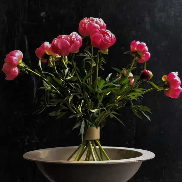 Set De 2 Hanataba - O 65 & O 47 Mm-Sélectionné par Fleux Discount