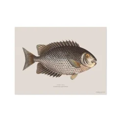 Set De Table Rectangle Poisson Chirala - 33 X 45 Cm-Pôdevache New