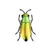 Trophee Origami Coleoptere Mango Vert-Assembli Hot