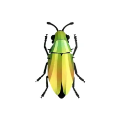 Trophee Origami Coleoptere Mango Vert-Assembli Hot