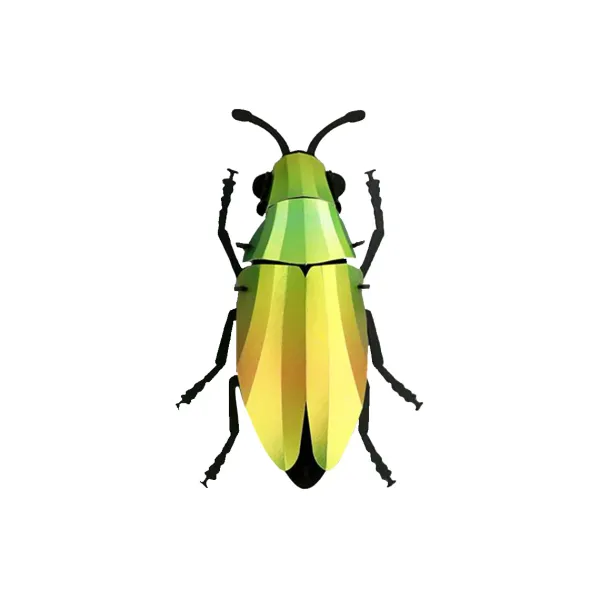 Trophee Origami Coleoptere Mango Vert-Assembli Hot