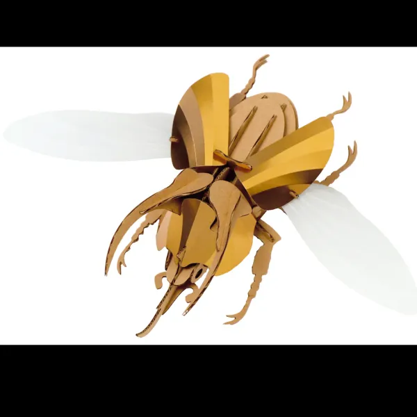 Trophee Origami Scarabee Atlas Dore-Assembli