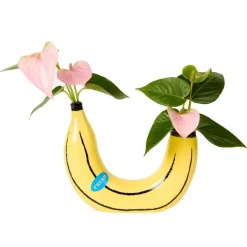 Vase Banane - Jaune-DOIY Best