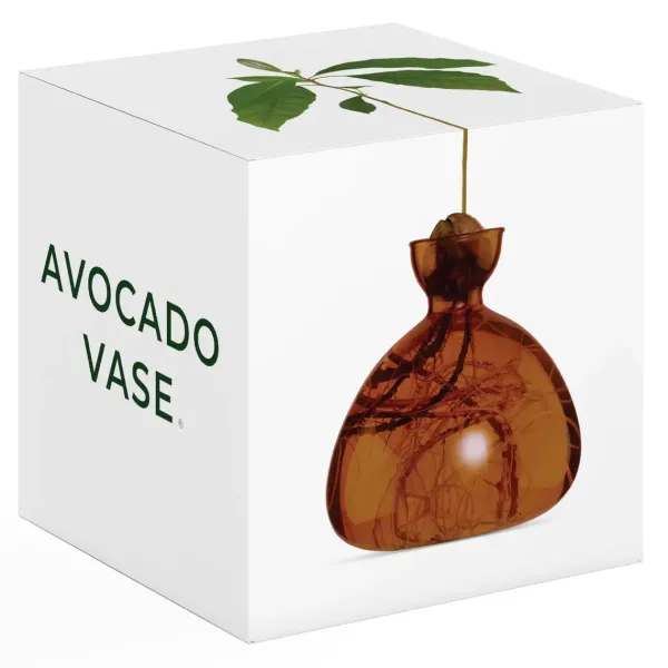 Vase En Verre Pour Avocat-Ilex Studio New
